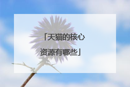 天猫的核心资源有哪些
