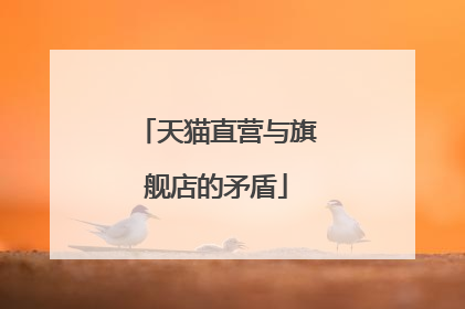 天猫直营与旗舰店的矛盾