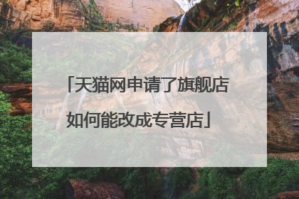 天猫网申请了旗舰店如何能改成专营店