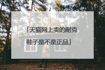 天猫网上卖的耐克鞋子是不是正品