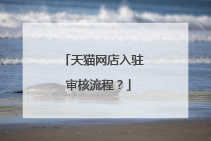 天猫网店入驻审核流程?