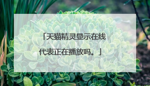 天猫精灵显示在线代表正在播放吗。