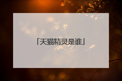 天猫精灵是谁