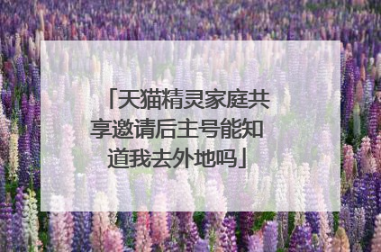 天猫精灵家庭共享邀请后主号能知道我去外地吗
