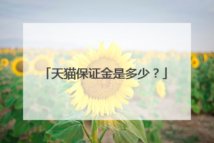 天猫保证金是多少？
