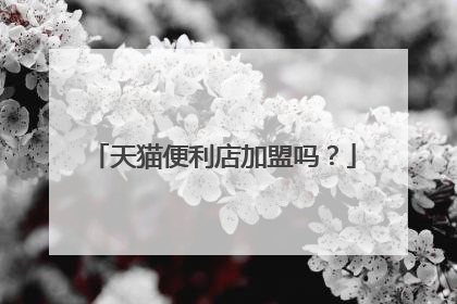 天猫便利店加盟吗?