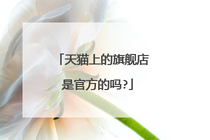 天猫上的旗舰店是官方的吗?