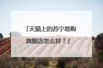 天猫上的苏宁易购旗舰店怎么样?