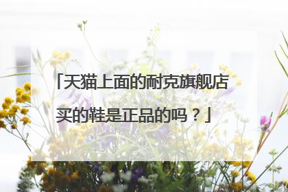 天猫上面的耐克旗舰店买的鞋是正品的吗?