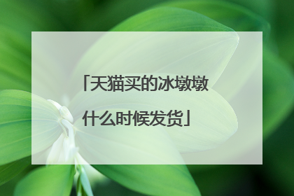 天猫买的冰墩墩什么时候发货
