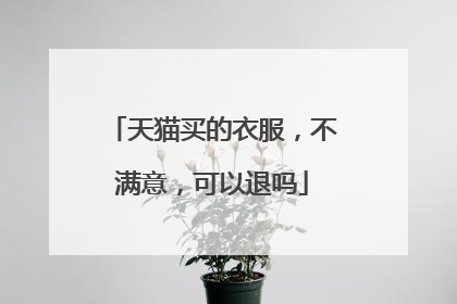 天猫买的衣服，不满意，可以退吗