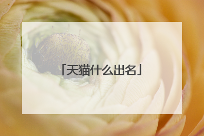 天猫什么出名