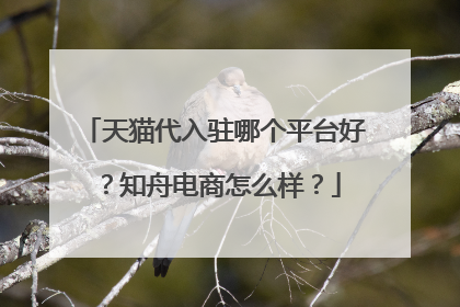 天猫代入驻哪个平台好？知舟电商怎么样？