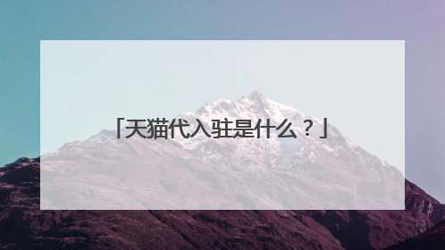 天猫代入驻是什么?