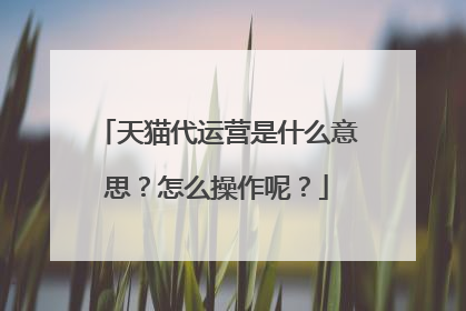 天猫代运营是什么意思?怎么操作呢?