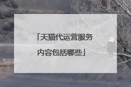 天猫代运营服务内容包括哪些