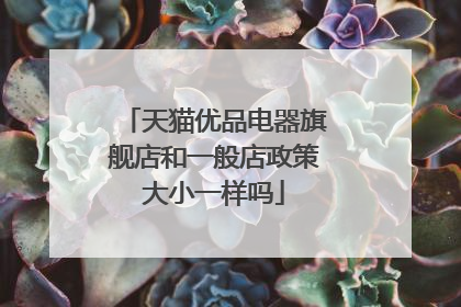 天猫优品电器旗舰店和一般店政策大小一样吗