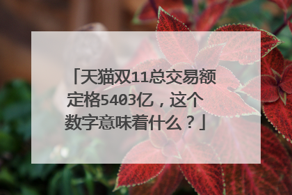 天猫双11总交易额定格5403亿,这个数字意味着什么?