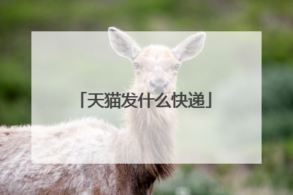 天猫发什么快递
