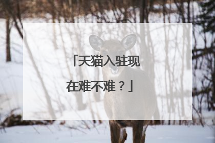 天猫入驻现在难不难?