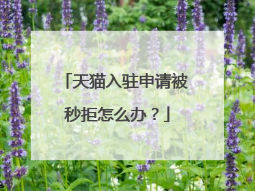 天猫入驻申请被秒拒怎么办？