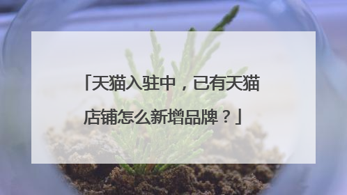 天猫入驻中，已有天猫店铺怎么新增品牌？