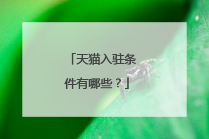 天猫入驻条件有哪些?