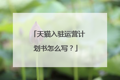 天猫入驻运营计划书怎么写?