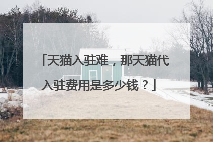 天猫入驻难，那天猫代入驻费用是多少钱？