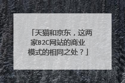 天猫和京东，这两家B2C网站的商业模式的相同之处？
