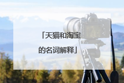 天猫和淘宝的名词解释