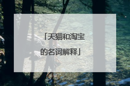 天猫和淘宝的名词解释