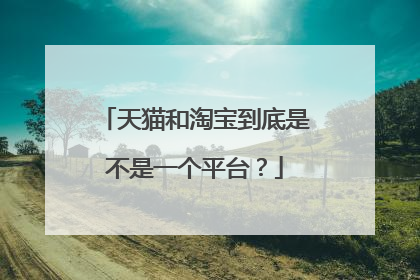天猫和淘宝到底是不是一个平台?