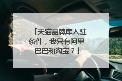 天猫品牌库入驻条件,我只有阿里巴巴和淘宝?