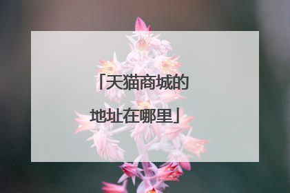 天猫商城的地址在哪里