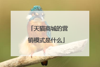 天猫商城的营销模式是什么