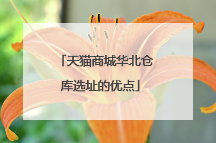 天猫商城华北仓库选址的优点