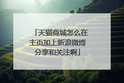 天猫商城怎么在主页加上新浪微博分享和关注啊