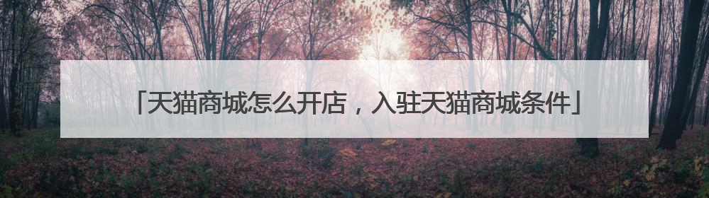 天猫商城怎么开店,入驻天猫商城条件