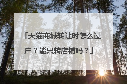 天猫商城转让时怎么过户？能只转店铺吗？