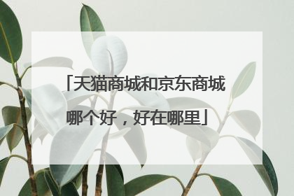 天猫商城和京东商城哪个好,好在哪里