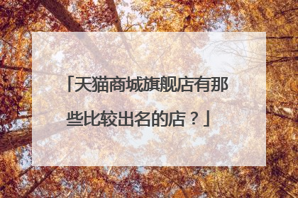 天猫商城旗舰店有那些比较出名的店?