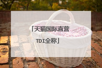 天猫国际直营TDI全称