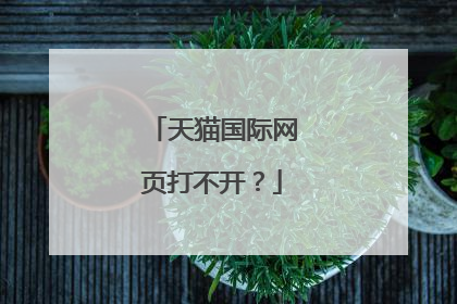 天猫国际网页打不开？