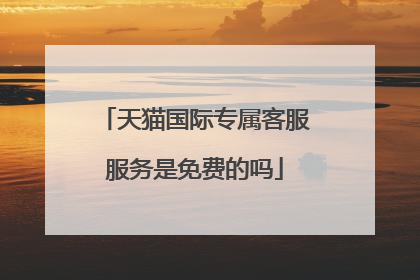 天猫国际专属客服服务是免费的吗