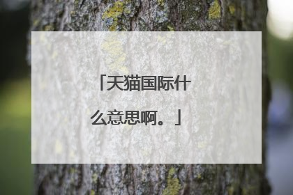天猫国际什么意思啊。