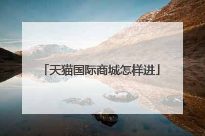 天猫国际商城怎样进