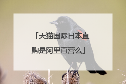 天猫国际日本直购是阿里直营么