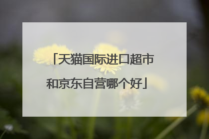 天猫国际进口超市和京东自营哪个好