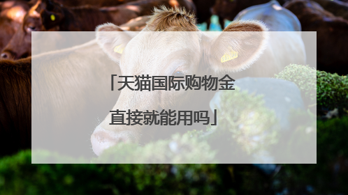 天猫国际购物金直接就能用吗